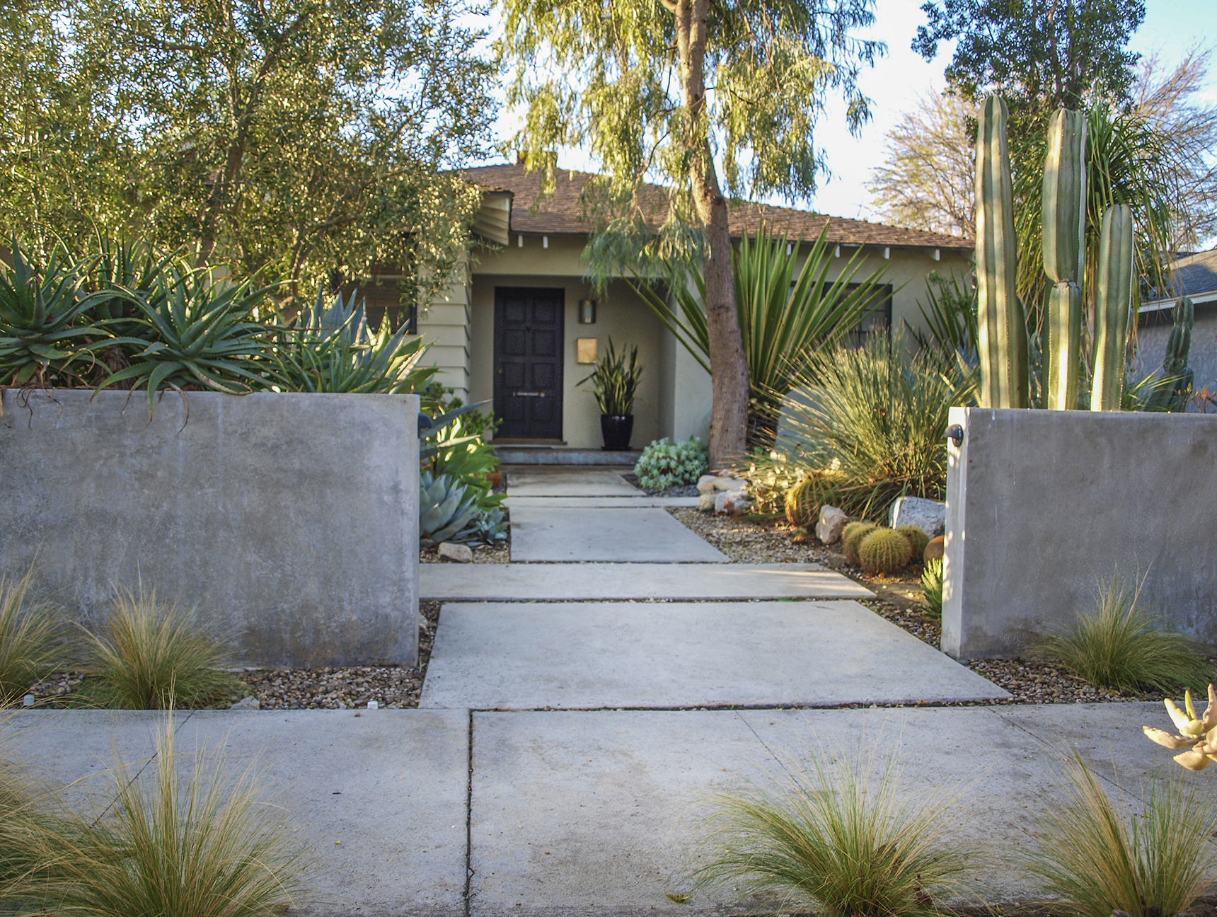 A generous 6-foot wide entry walkway consisting of poured in place concrete pads connected by ribbons of gravel, welcomes guests and creates distinct planting areas for several species of agave, aloe, and other succulents.