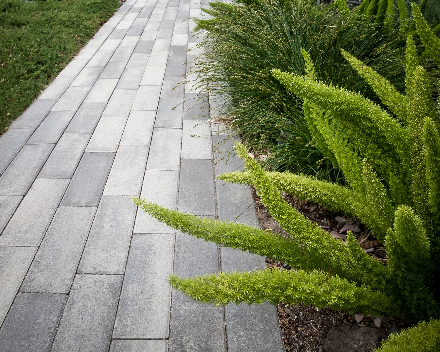 precast concrete pavers