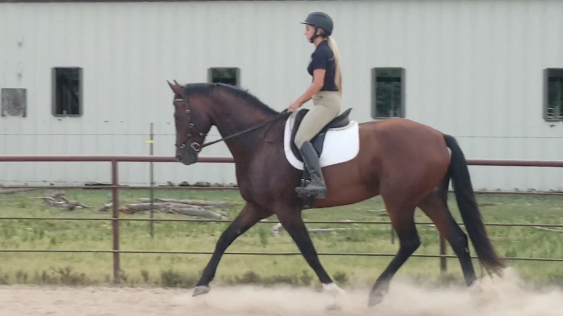 ColbyDressage.mp4.00_00_13_16.Still004.jpg