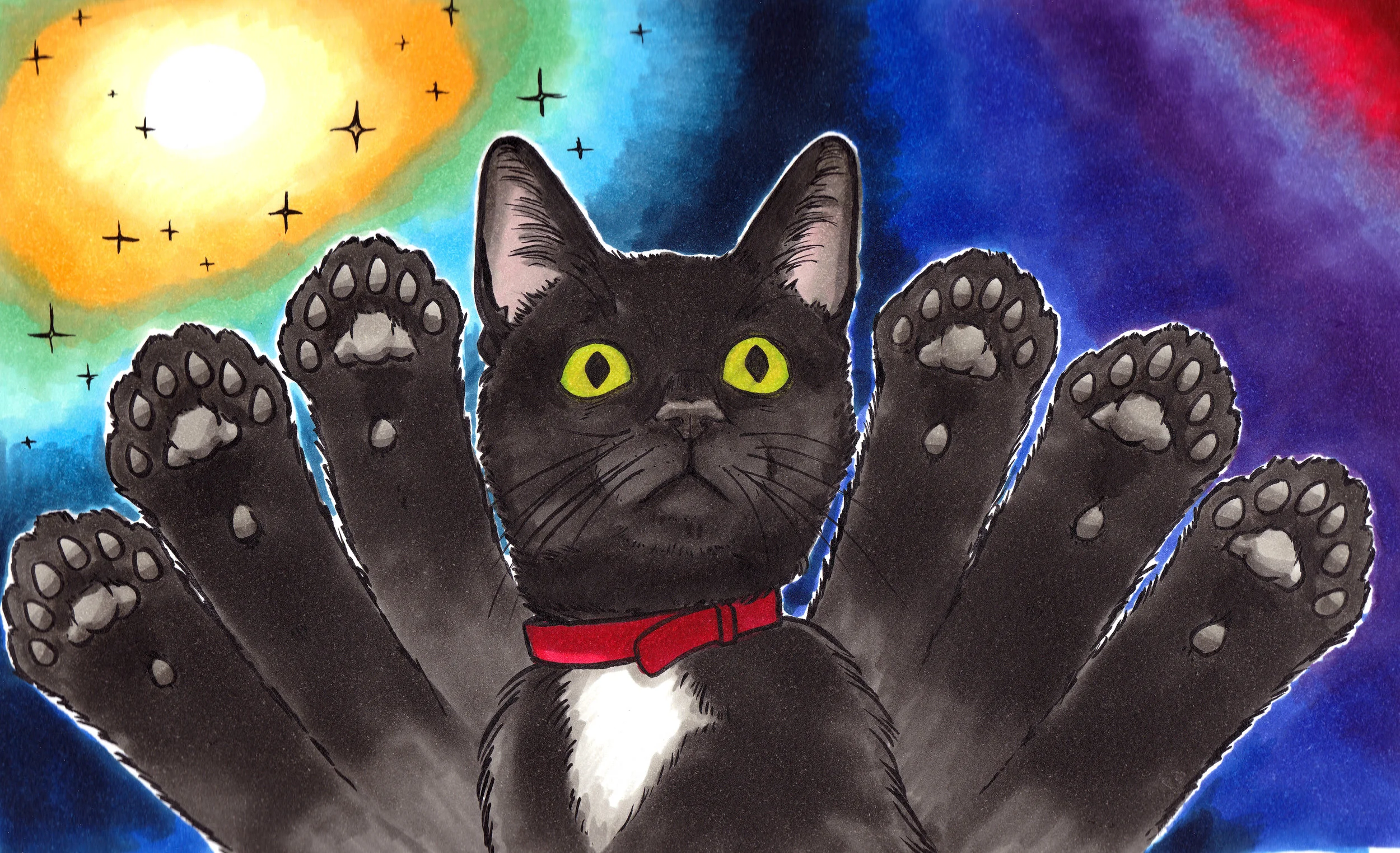 polydactyl.jpg