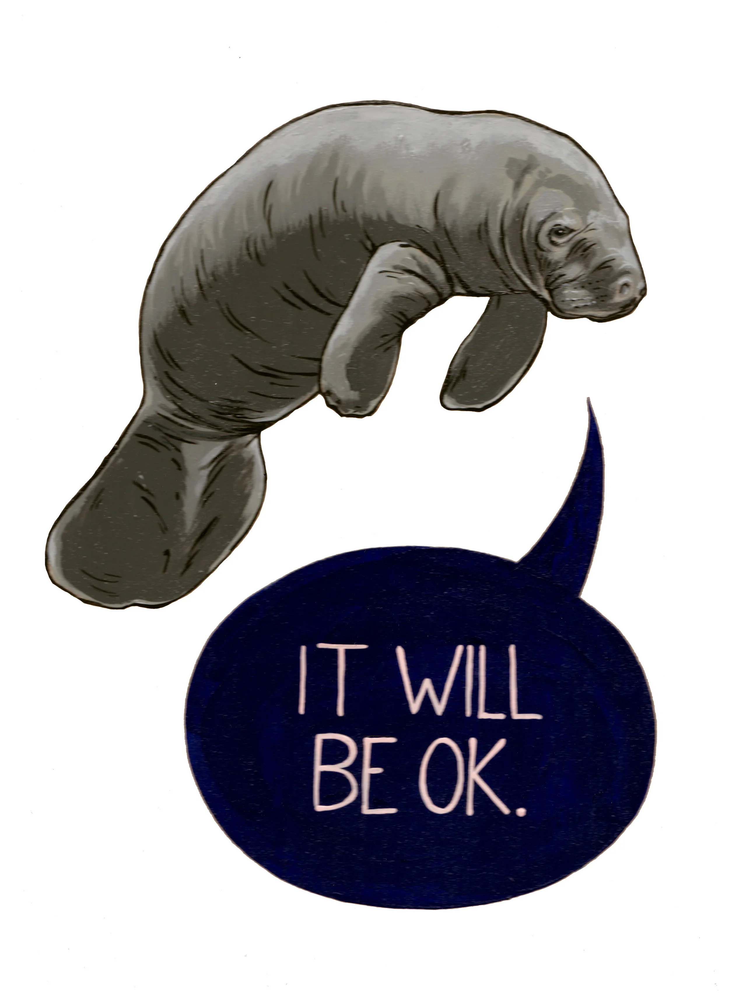 ManateePostcard.jpg