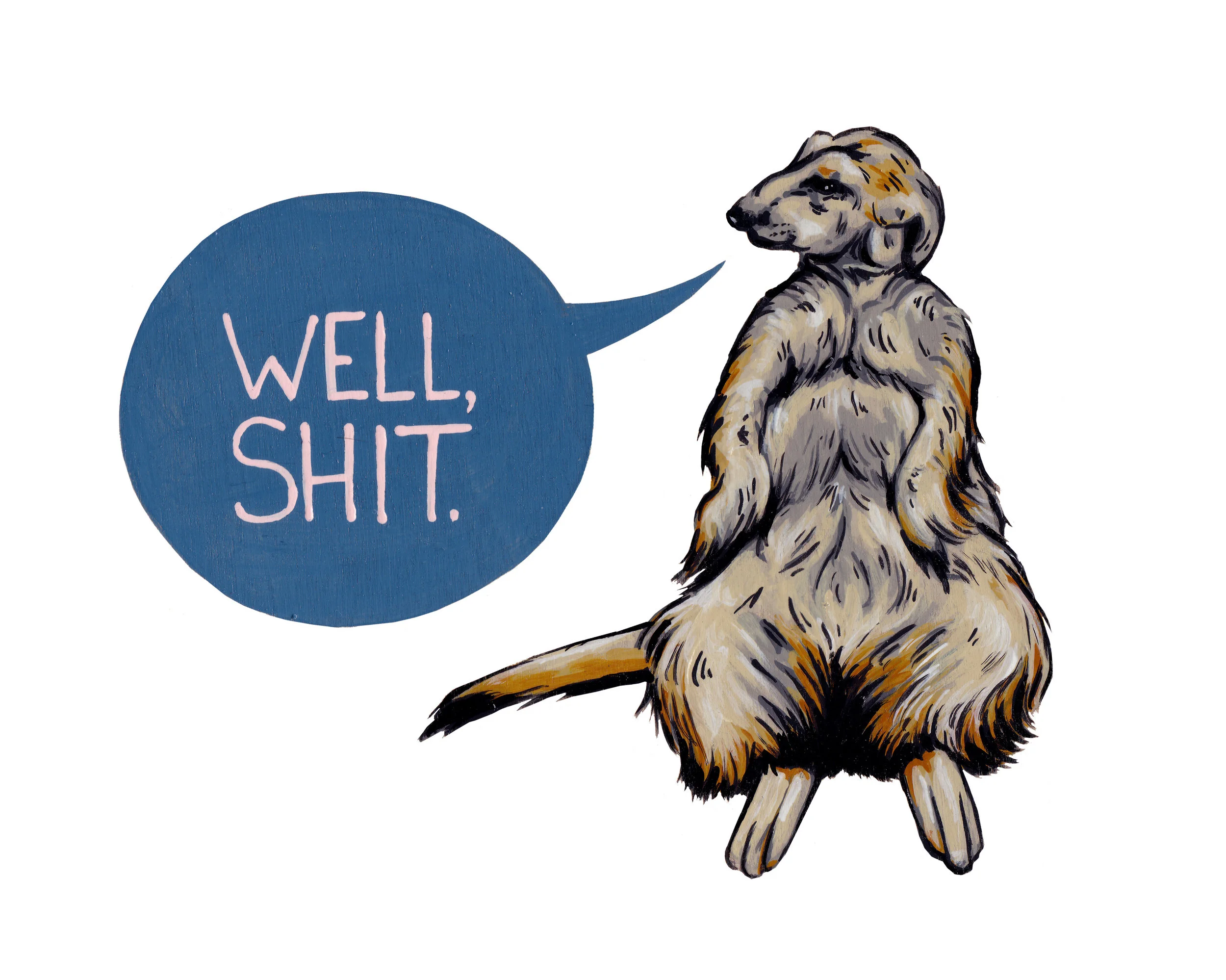 meerkat postcard.jpg