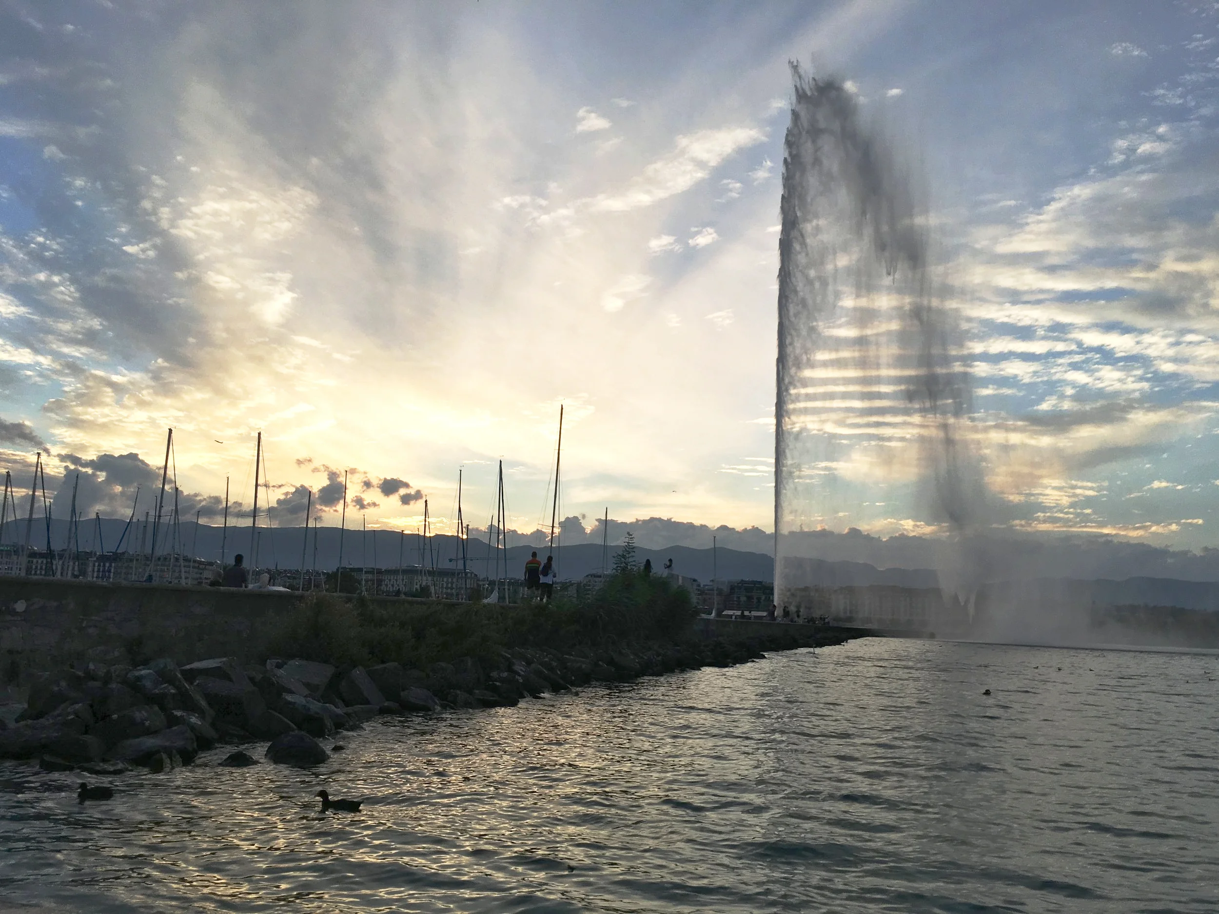 Love in a Swiss place