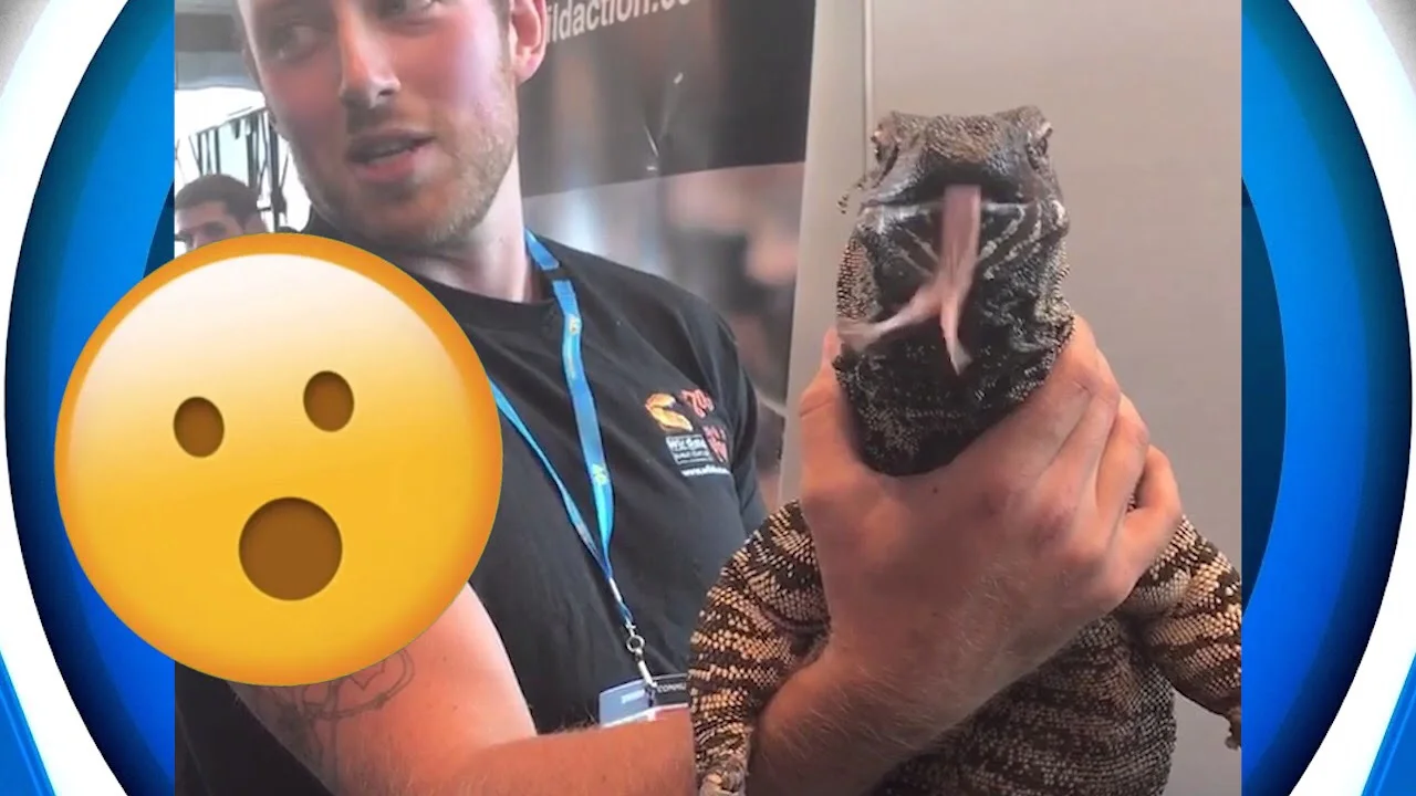 The Australian Open 2018! Some fun highlights of days 9 and 10!!