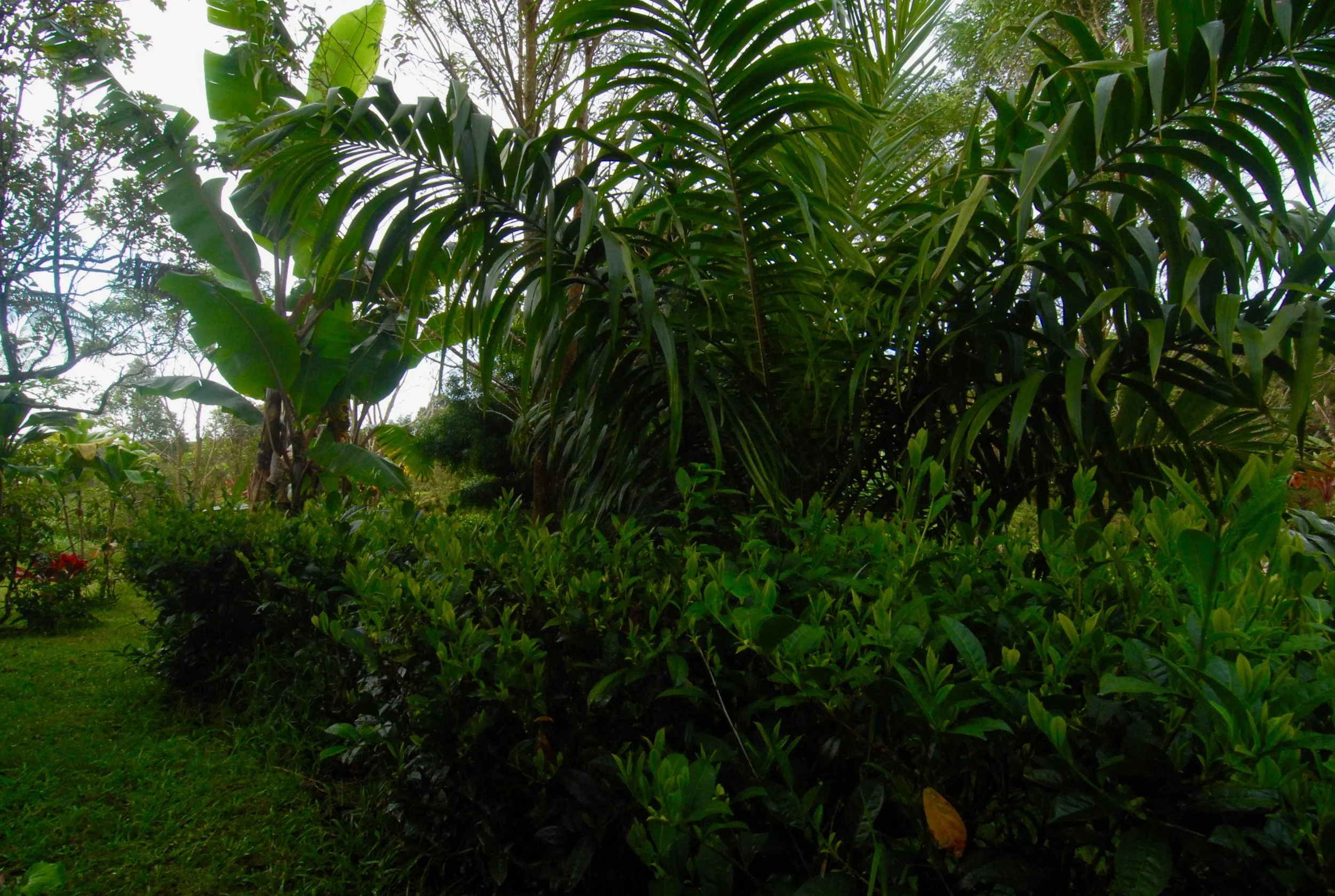DSC_2125.jpg