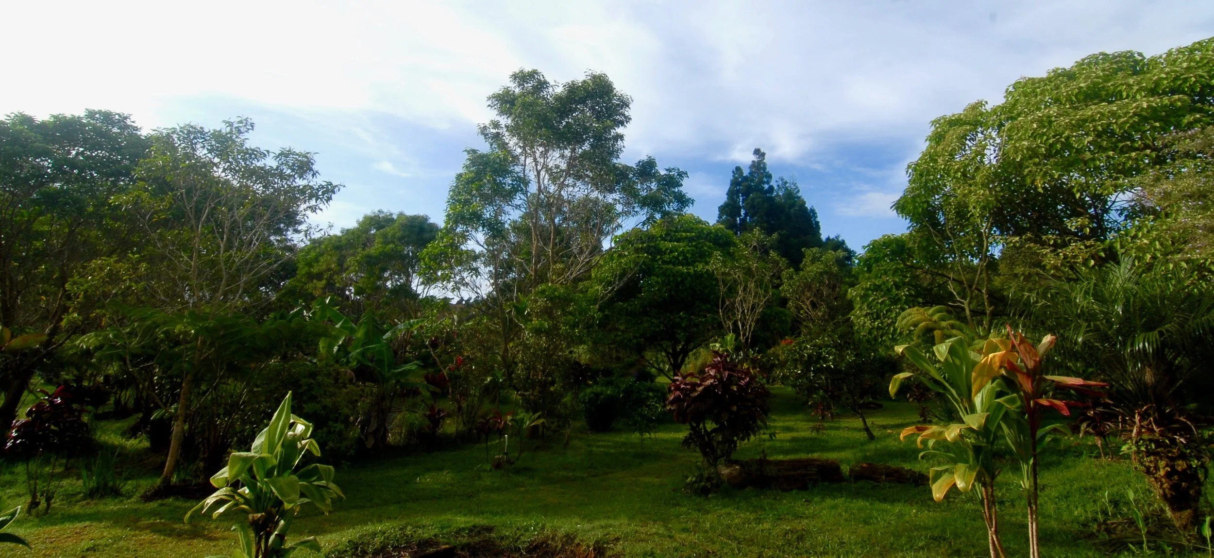 DSC_2169 2.jpg