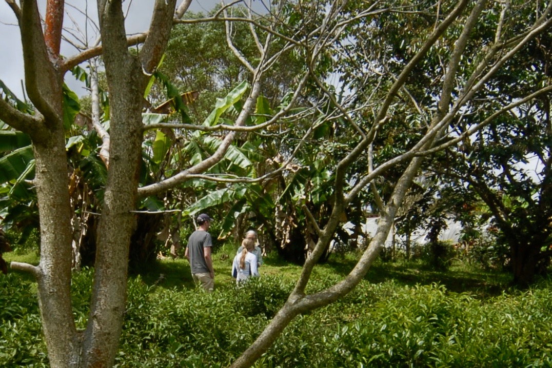 DSC_2014.jpg