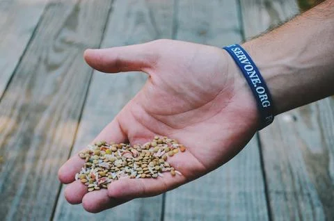 SERV_BRACELETS_large.jpg