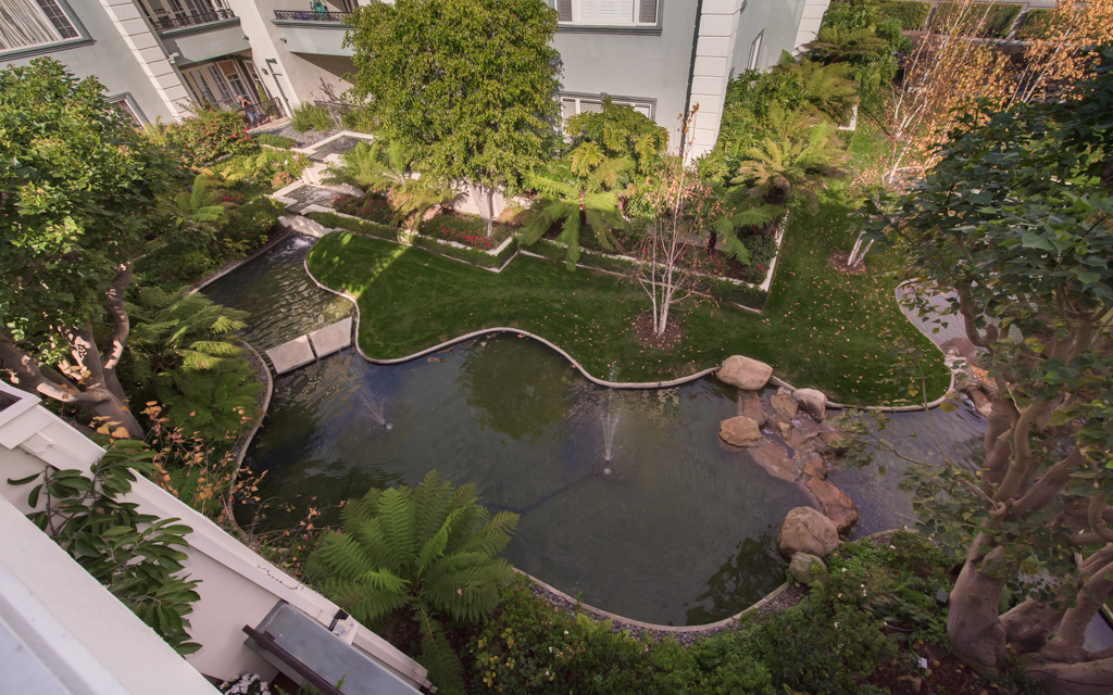 10108EmpyreanWay304-mls-24.jpg
