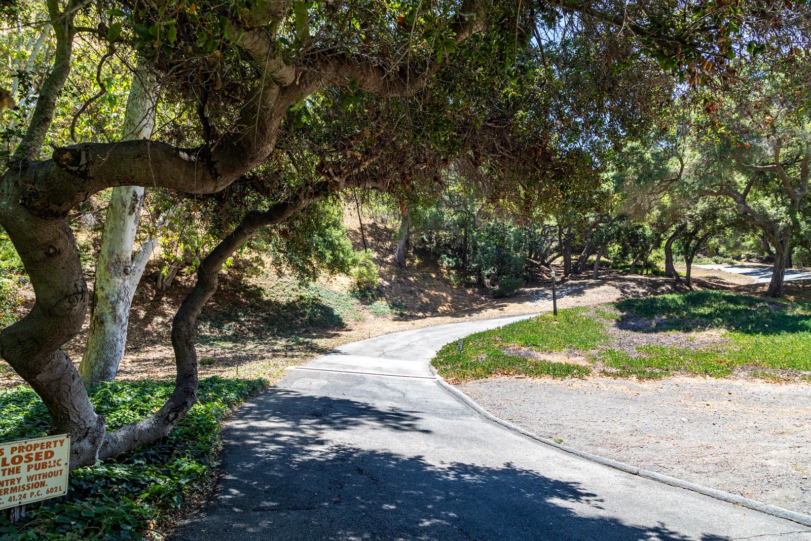 3100MandevilleCanyon_009.jpg