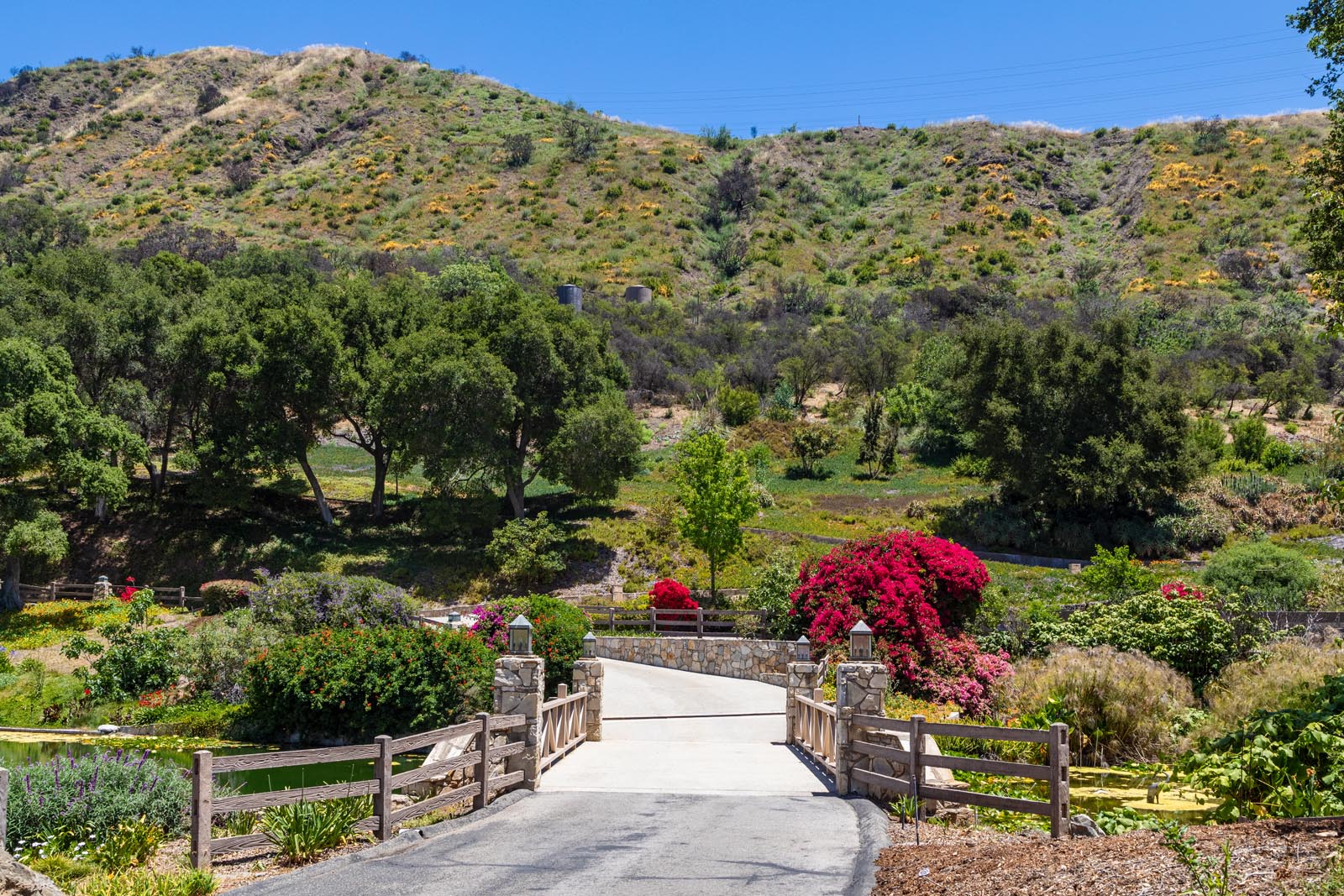 3100MandevilleCanyon_0010.jpg