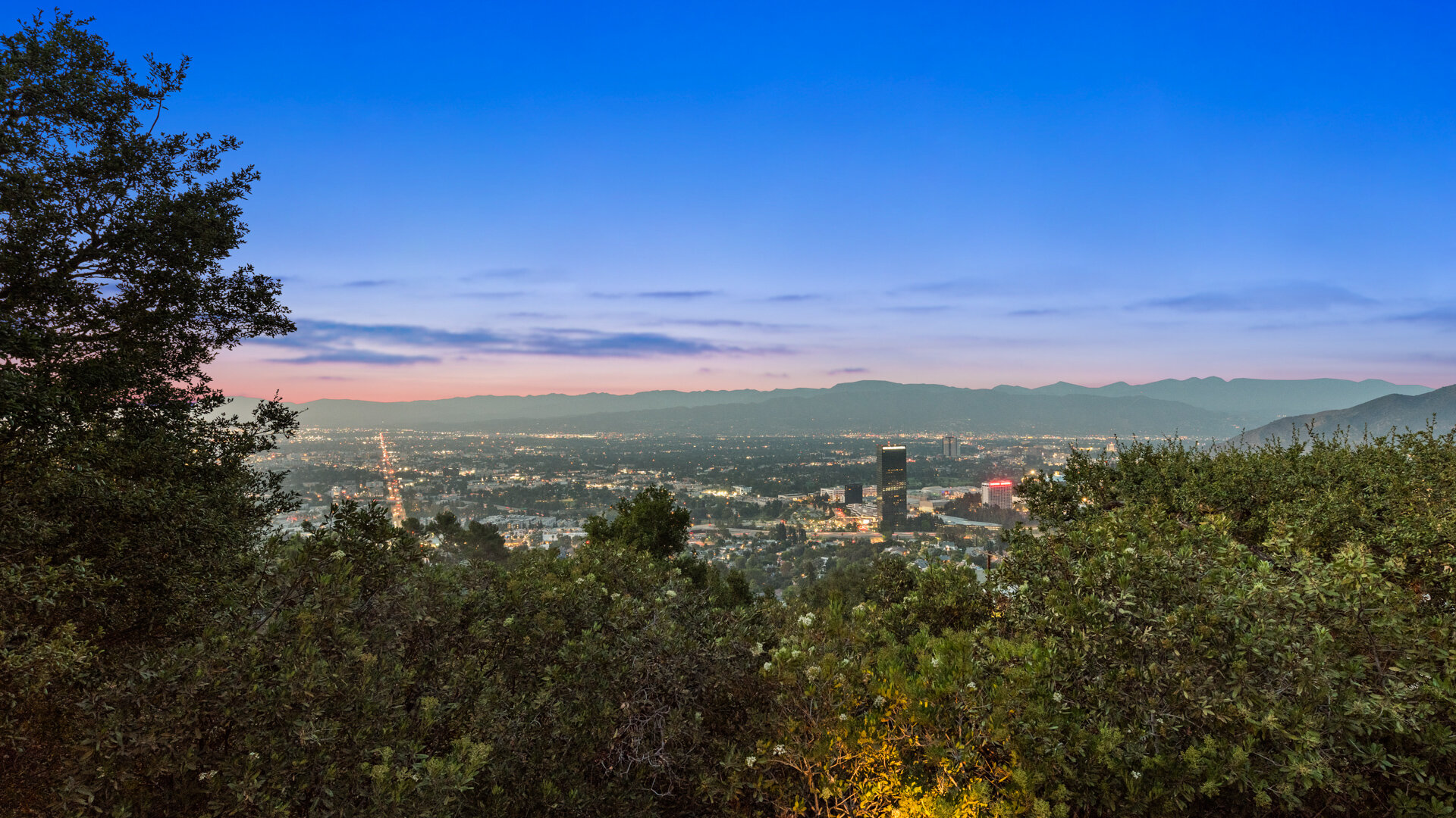 7829Torreyson-mls-5.jpg