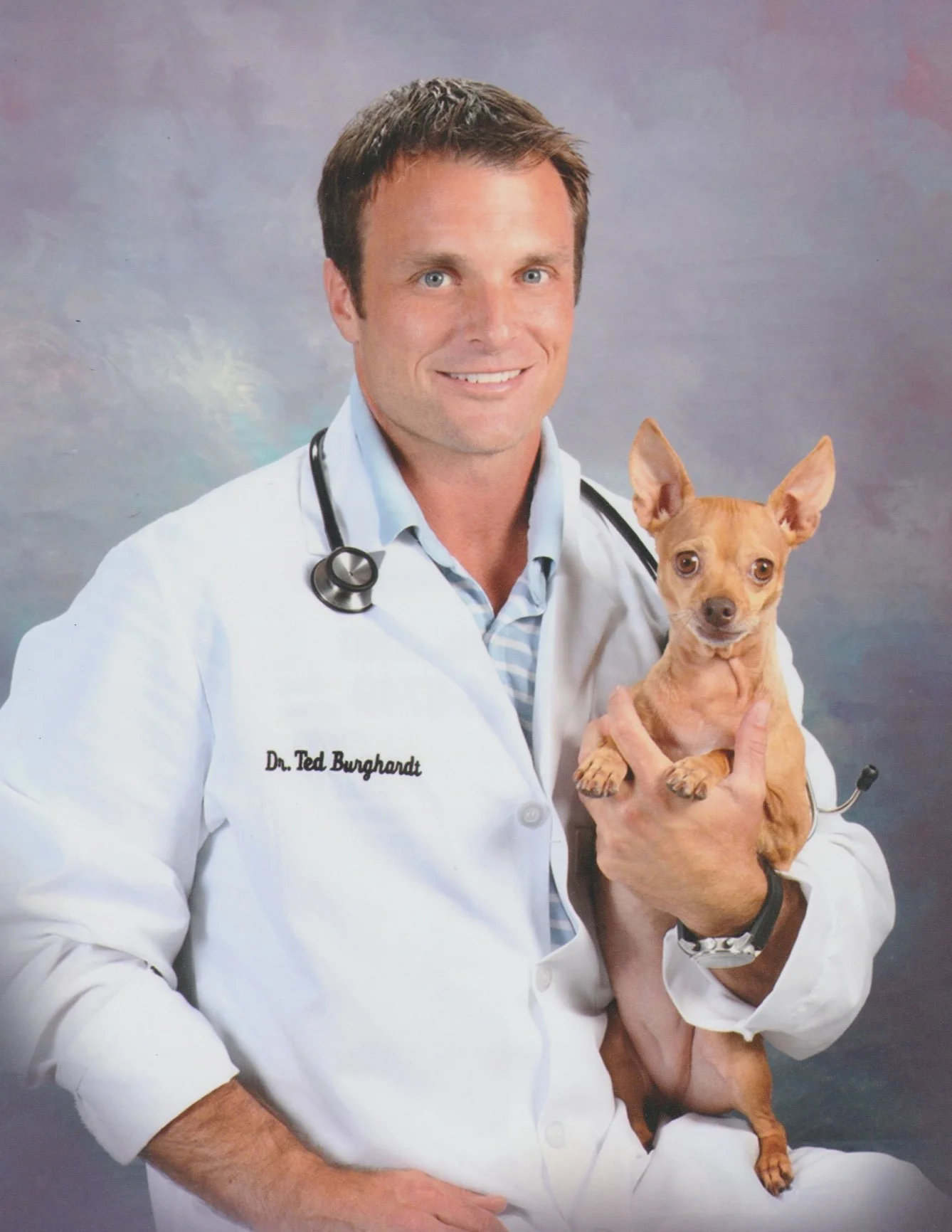 Meet Our Team Companion Pet Care Animal Hospital