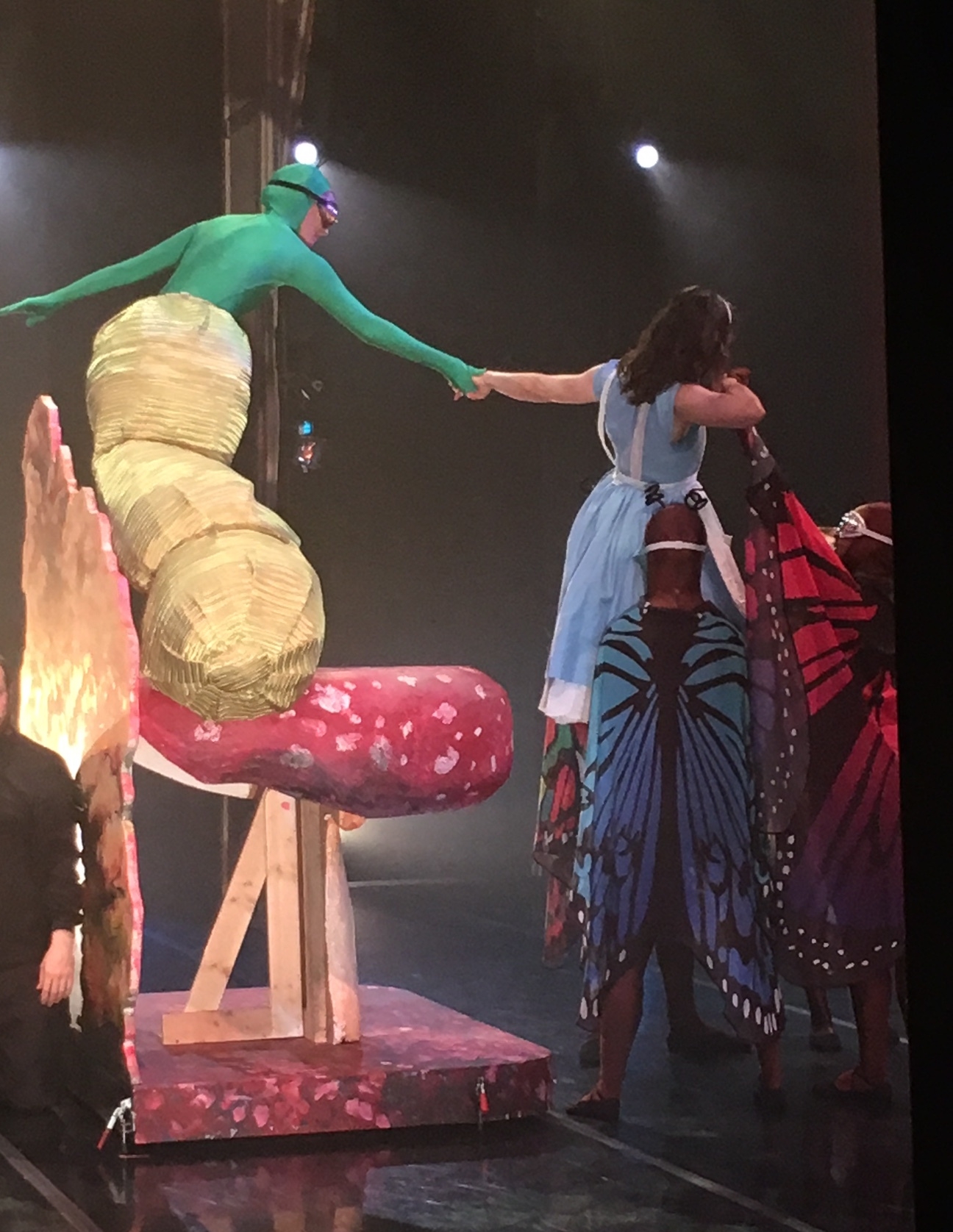 Caterpillar and Alice Costumes