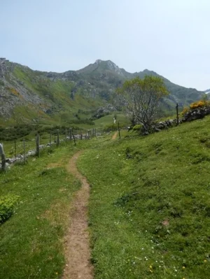 HikingSomeido.jpg