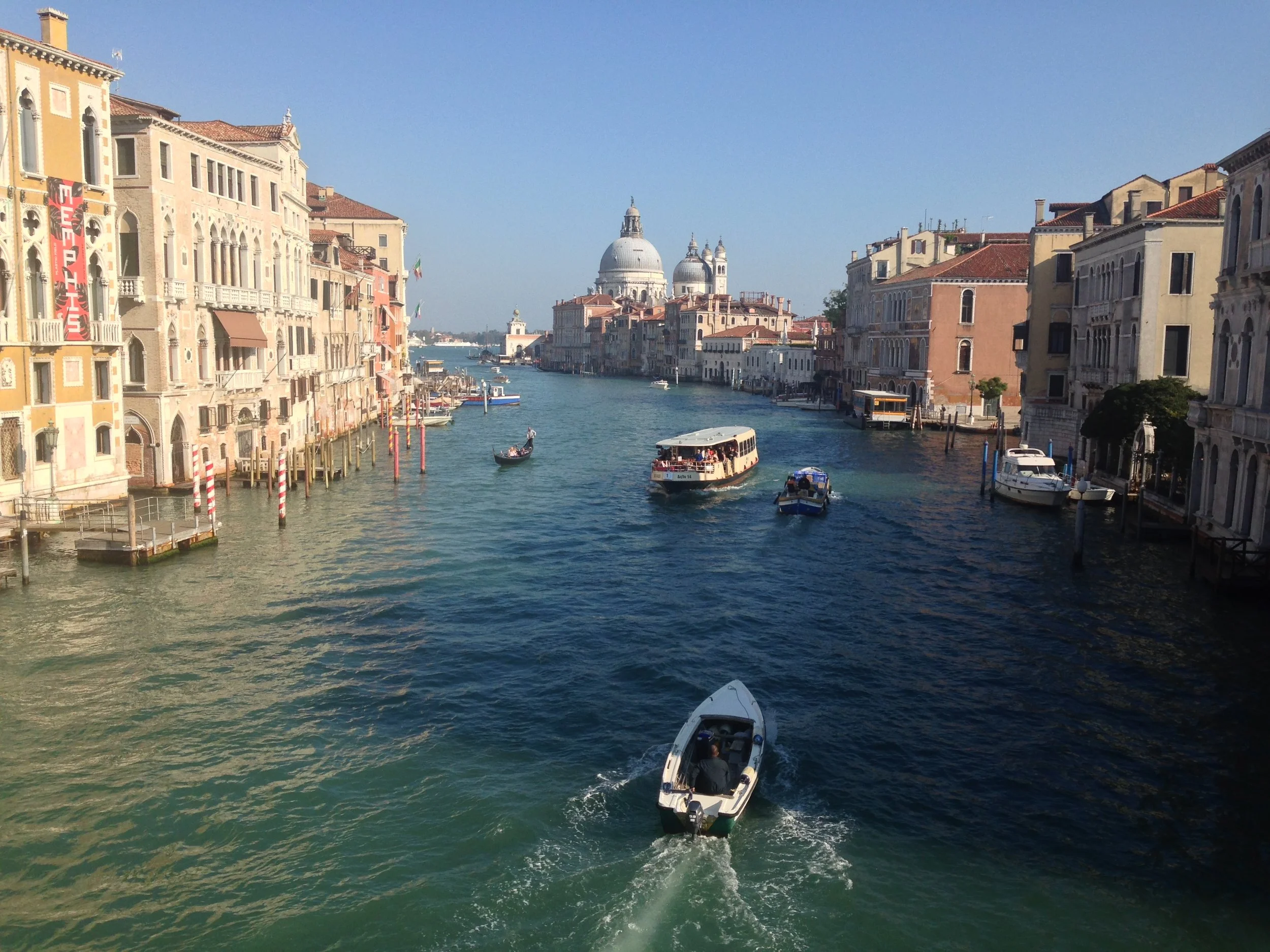 IMG_9622.jpg