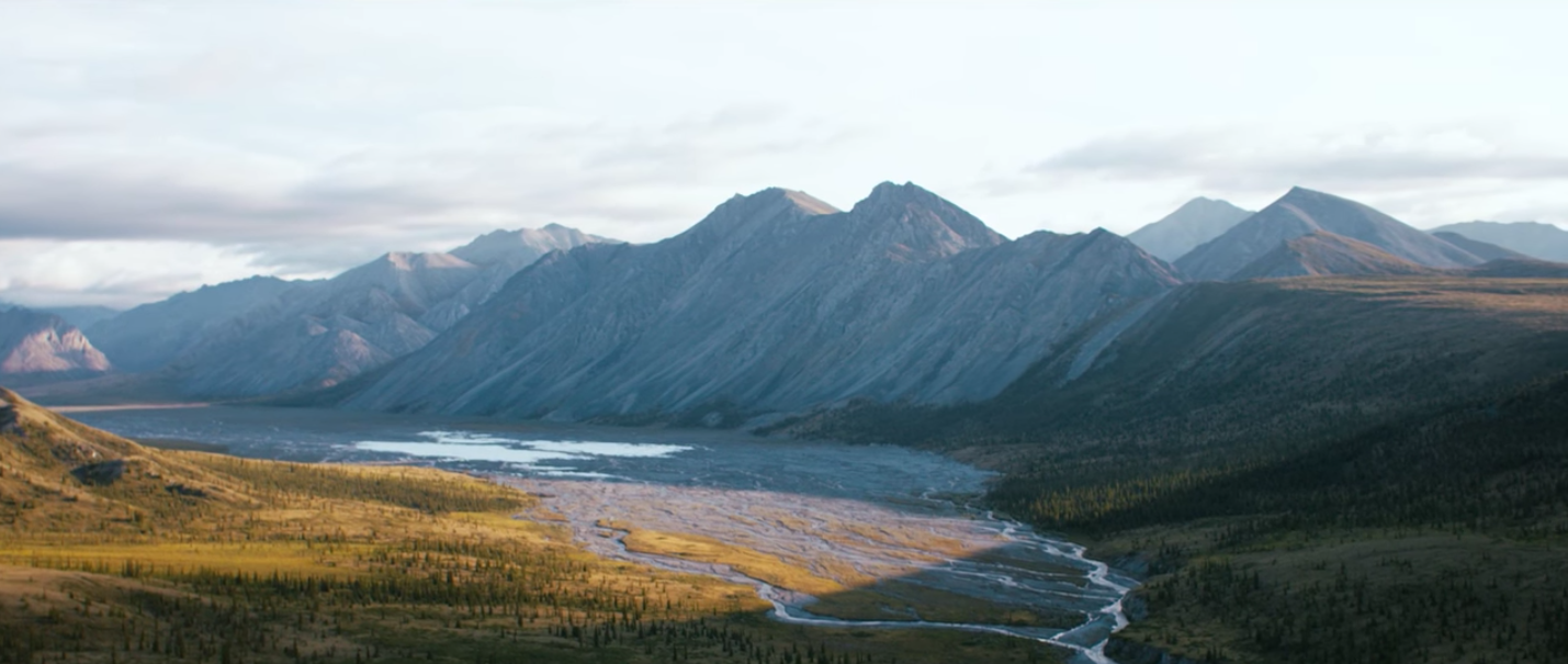 Screen Shot 2017-03-24 at 8.17.40 PM.png