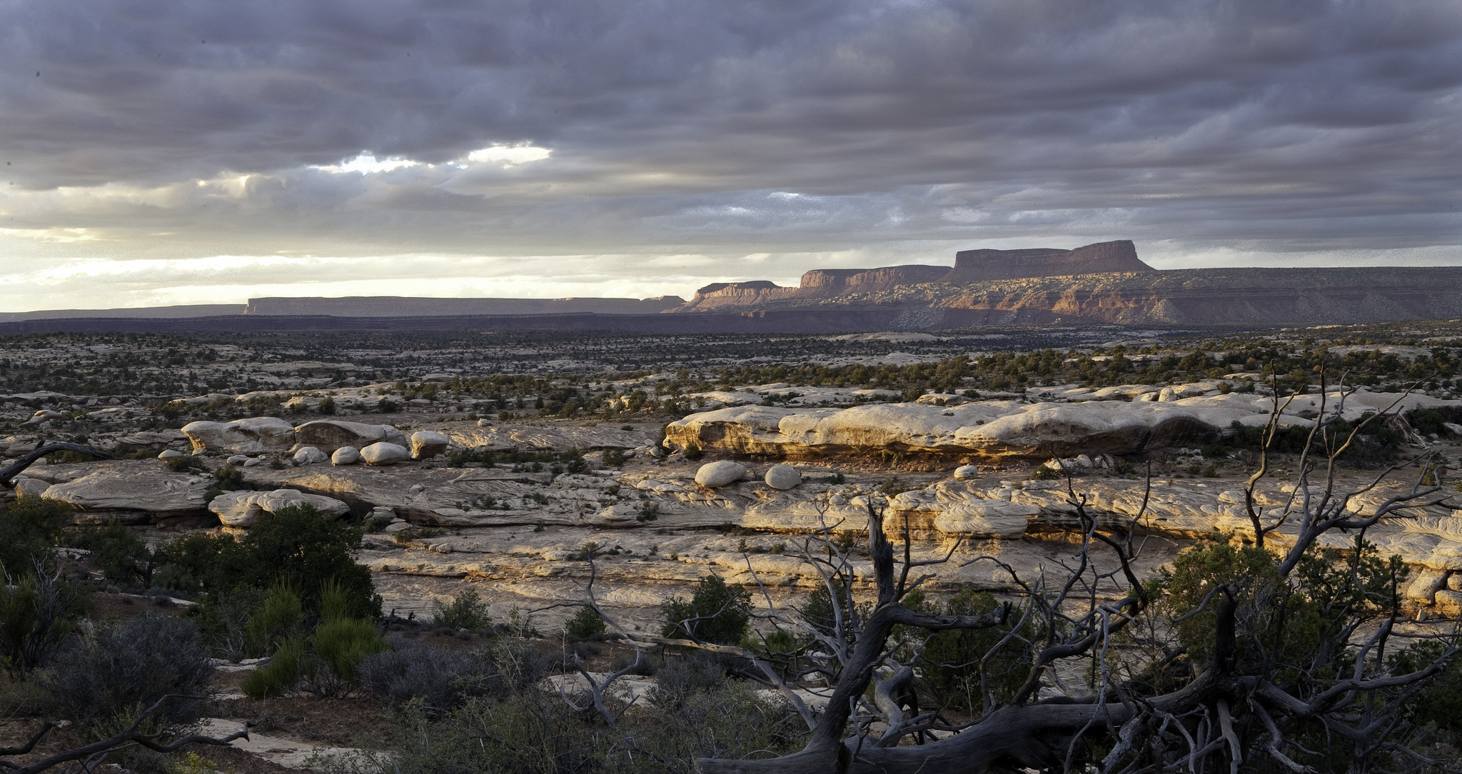 Cedar_Mesa_Bears_Ears_Utah