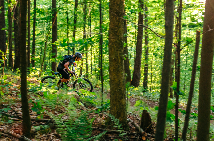 Screen Shot 2018-07-26 at 12.02.24 PM.png