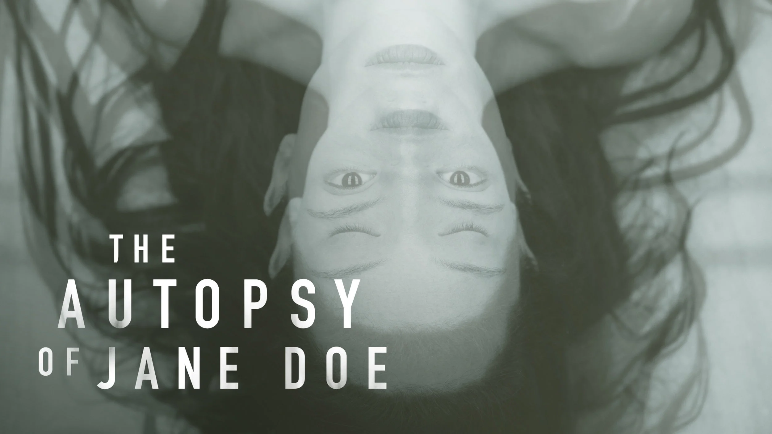 The_Autopsy_of_Jane_Doe_AH1_EN.jpg
