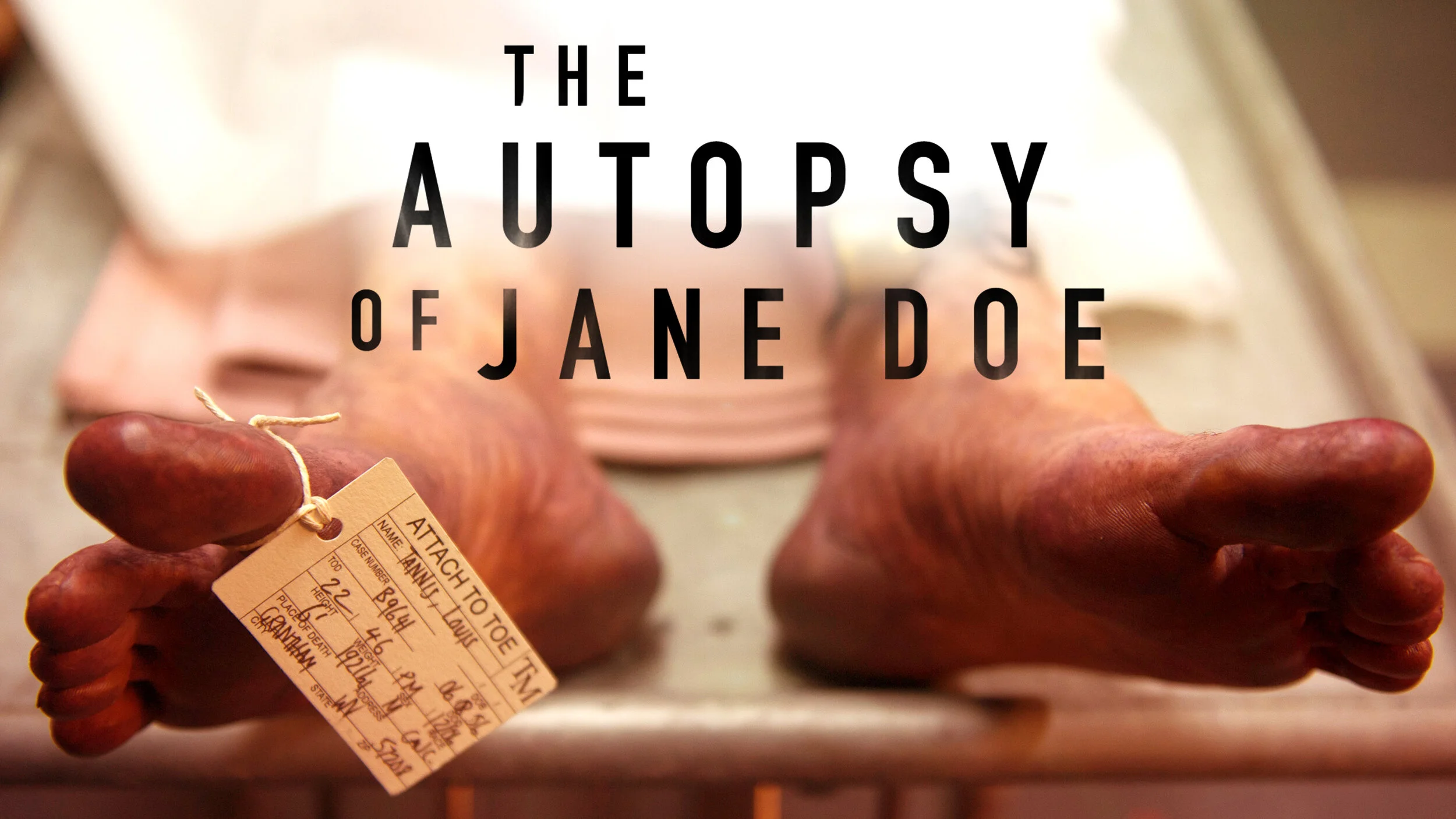 The_Autopsy_of_Jane_Doe_AH4_EN.jpg