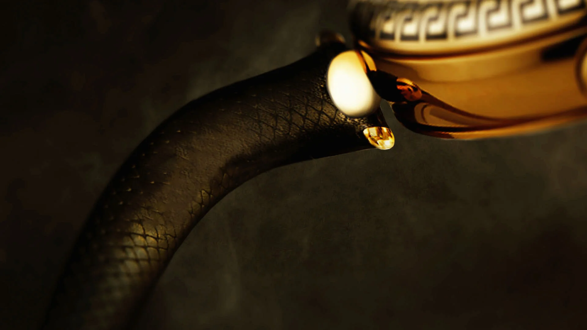 Versace_Frame_Web_Edit_04.jpg