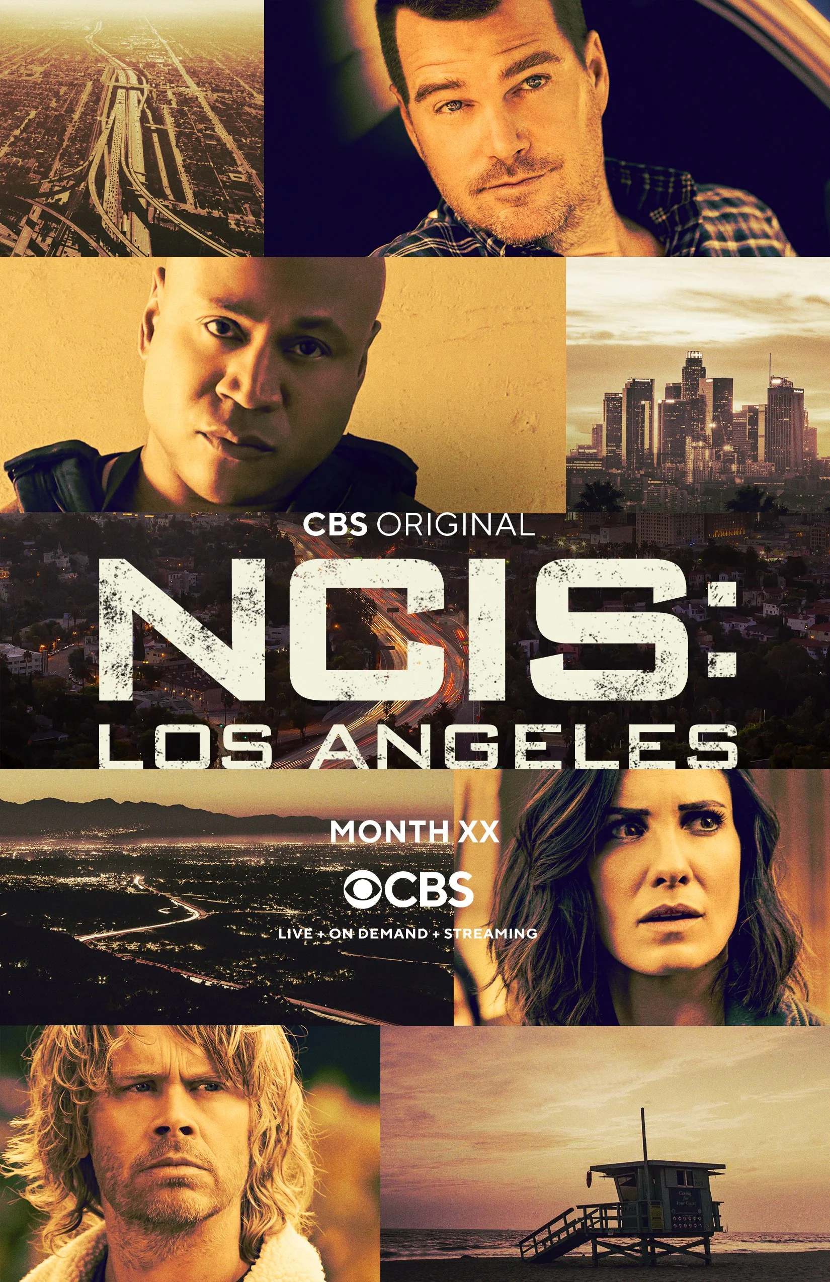 NCISLAS13.jpg