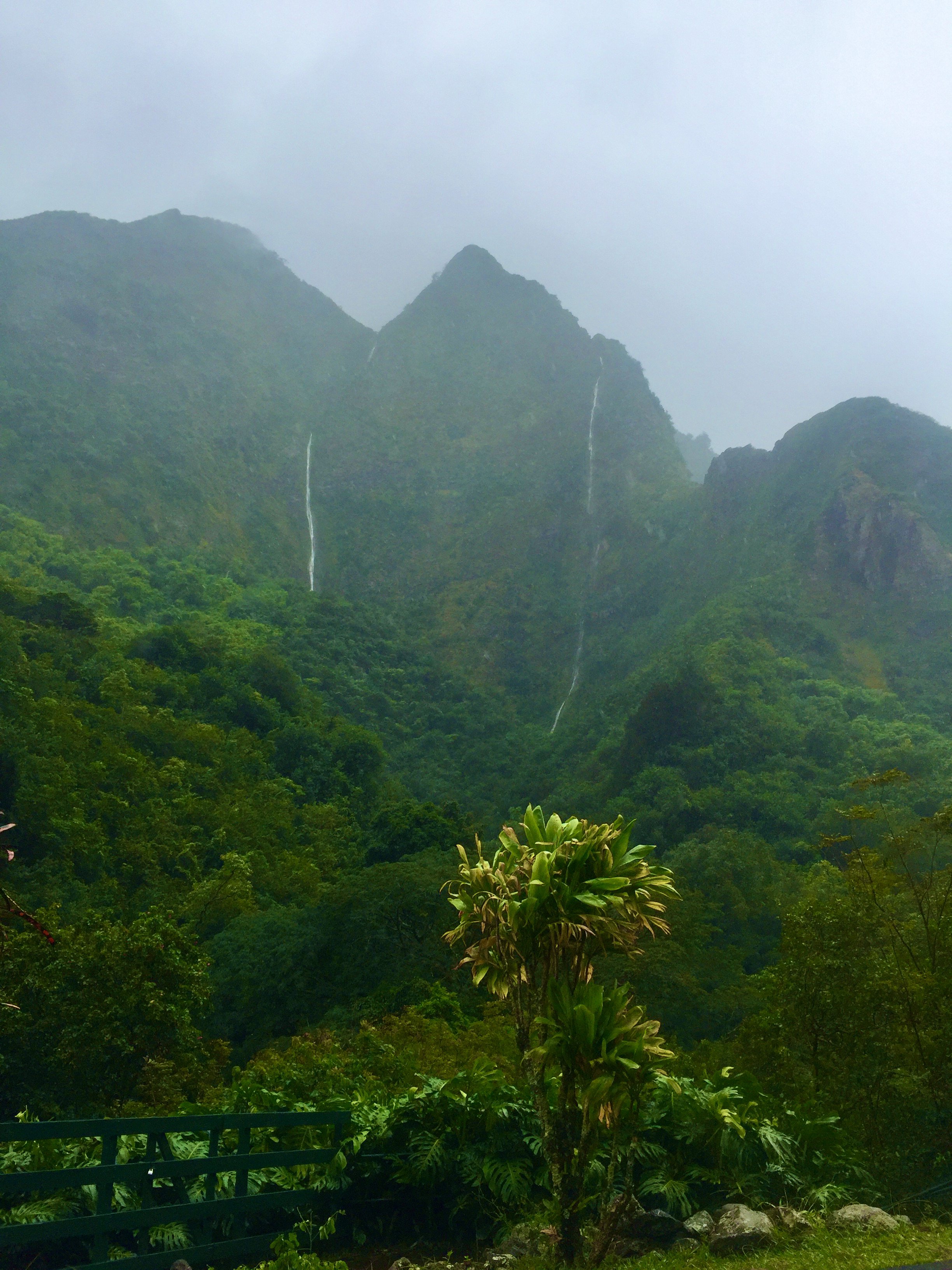 Iao Valley - Maui, HI