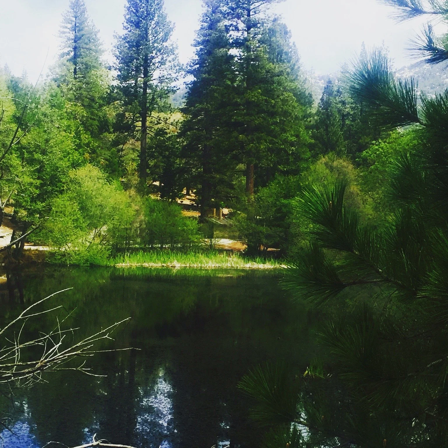 Idylake.JPG