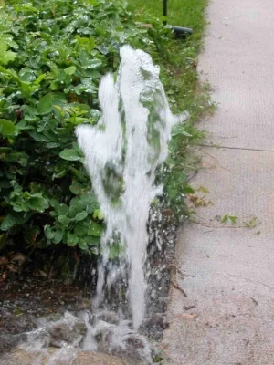 13mnssec.jpg