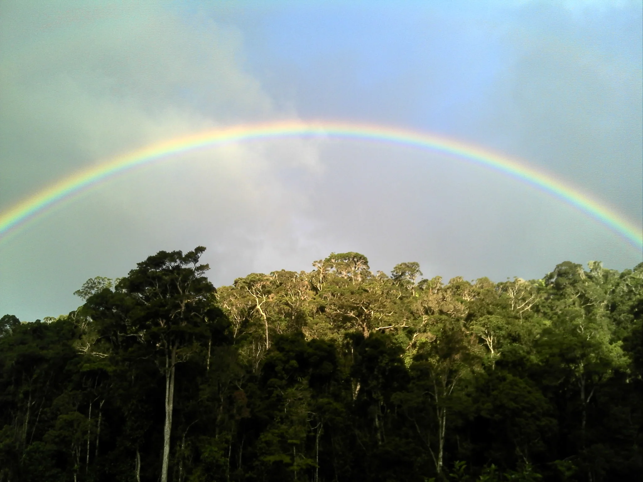 Lokaitra Forest_MakiraNaturalPark.JPG