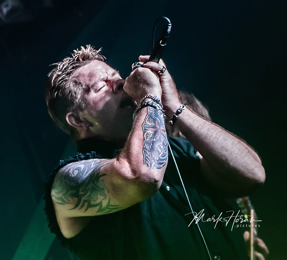 Torn