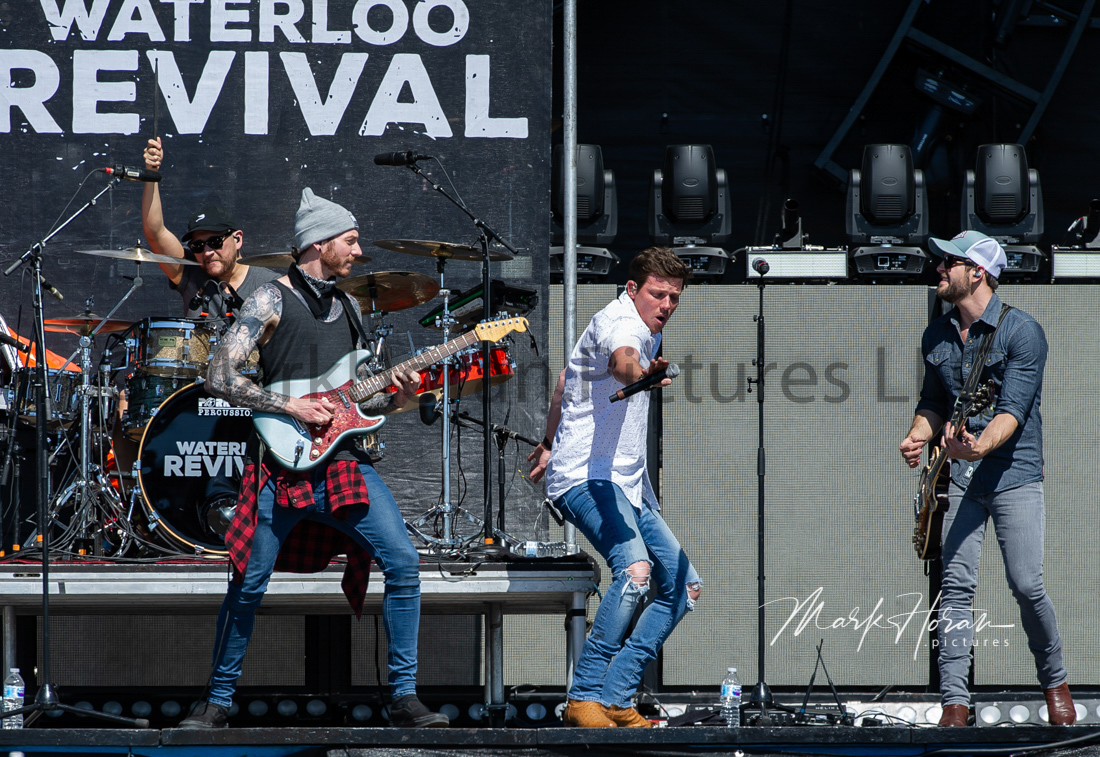 Waterloo Revival