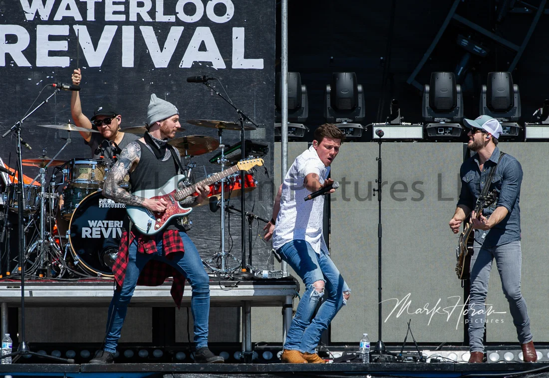 Waterloo Revival