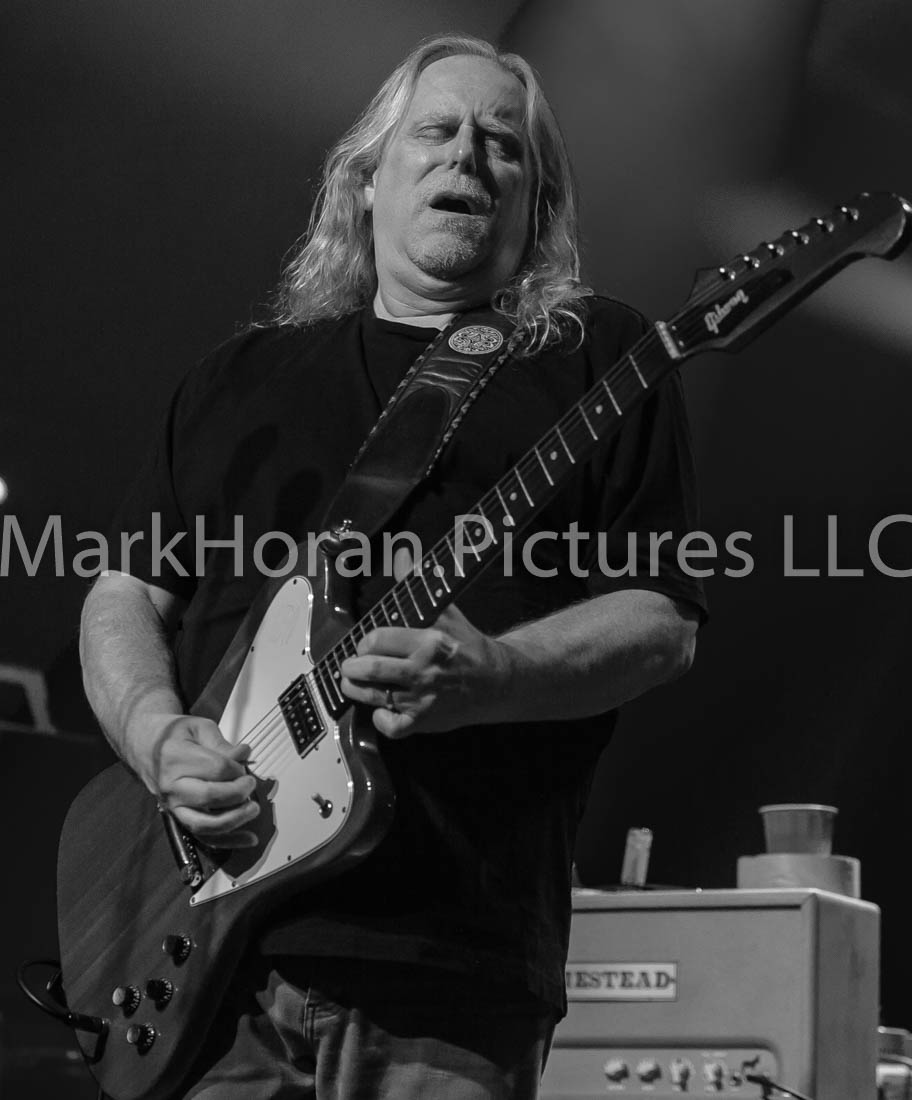 Gov't Mule