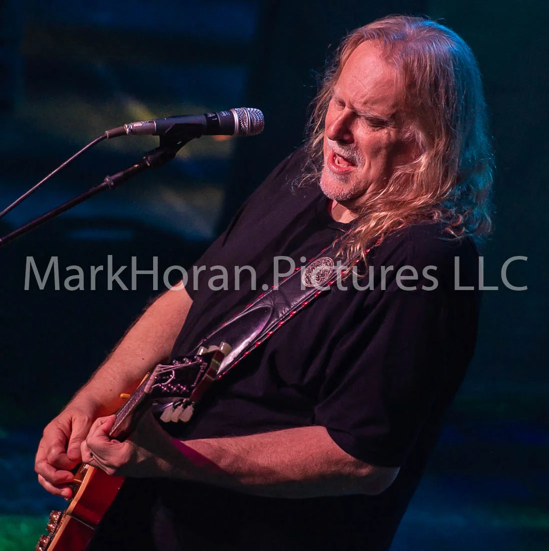 Gov't Mule