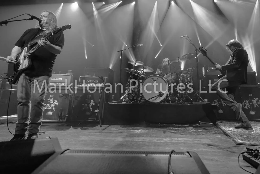 Gov't Mule