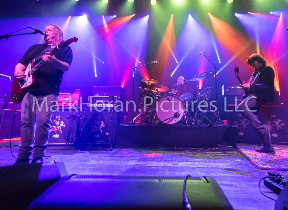 Gov't Mule