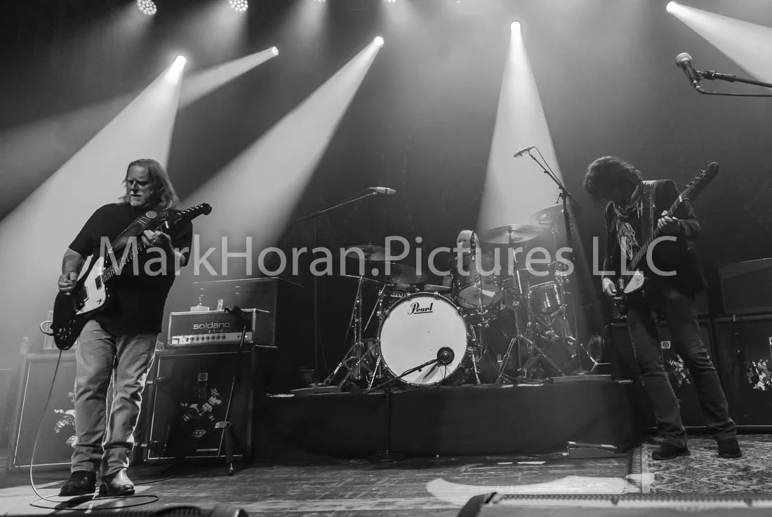Gov't Mule