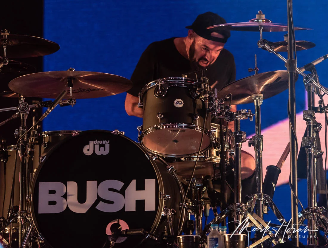 Bush