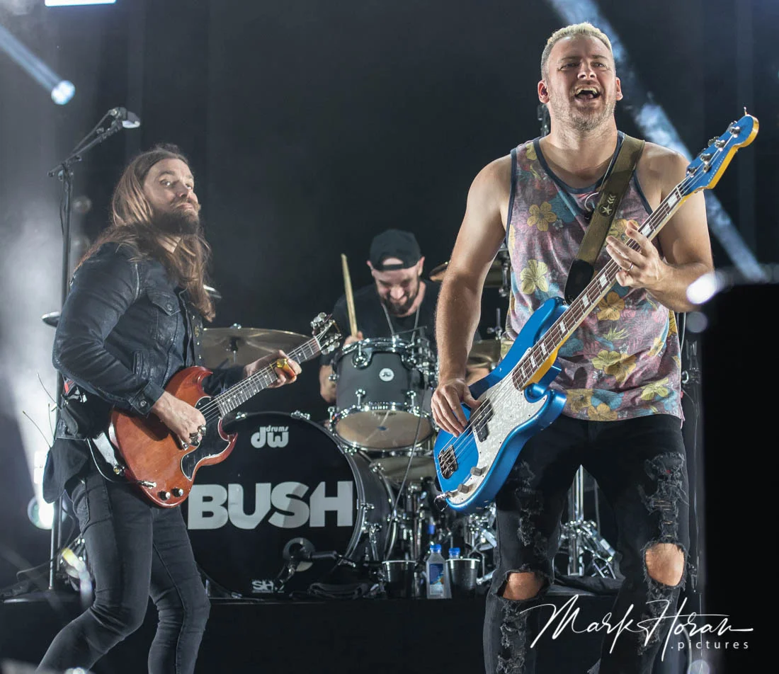 Bush