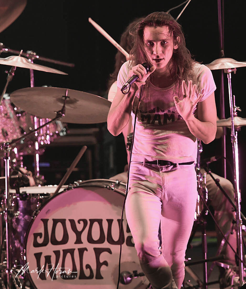 Joyous Wolf