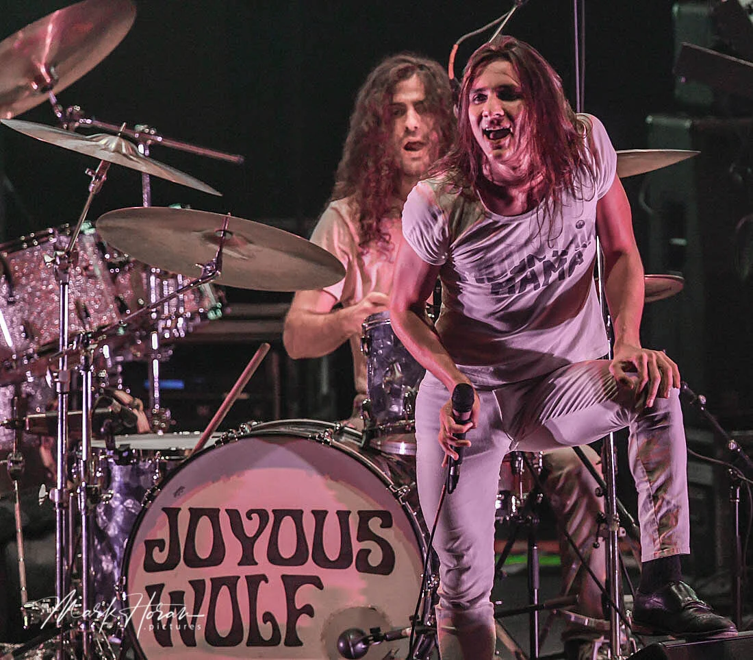 Joyous Wolf