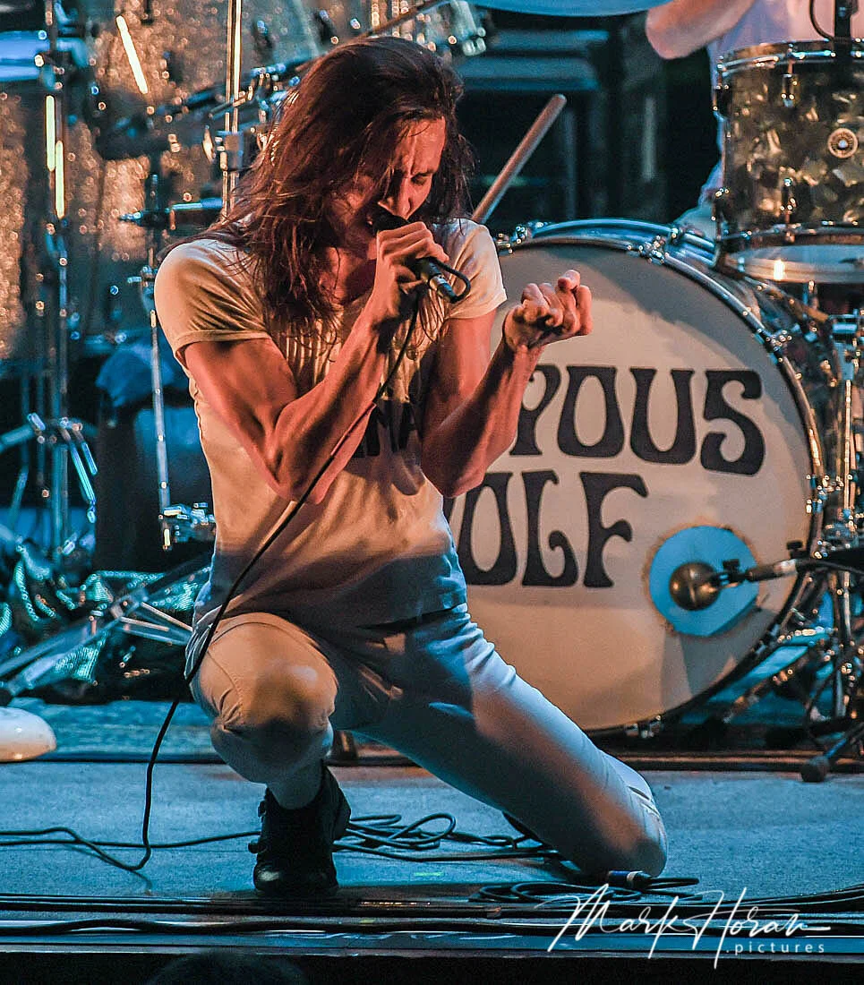 Joyous Wolf