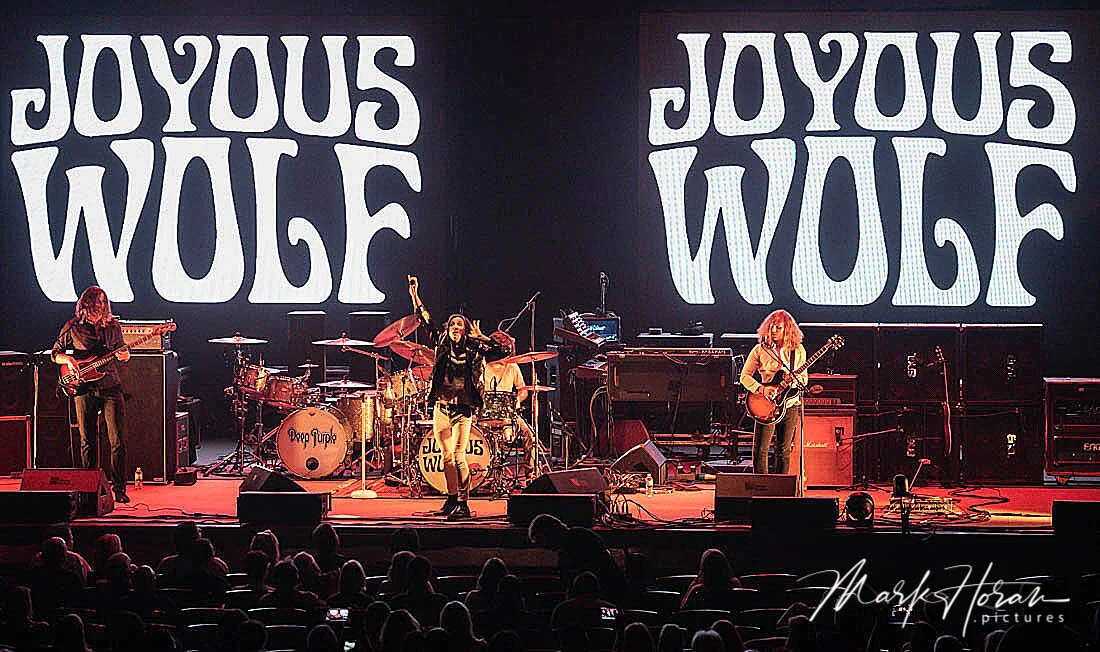 Joyous Wolf