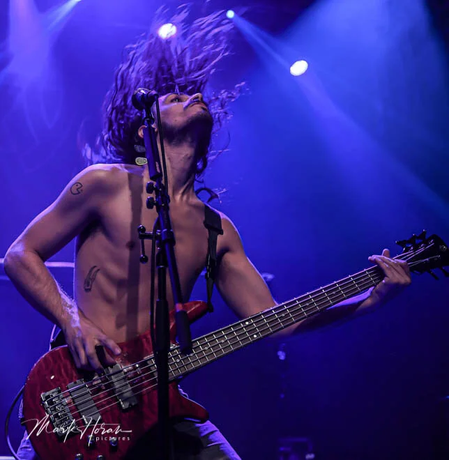 Alien Weaponry
