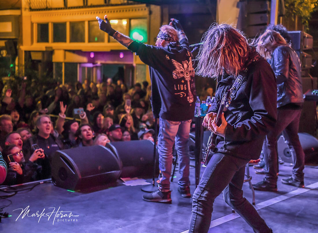 Jack Russell's Great White