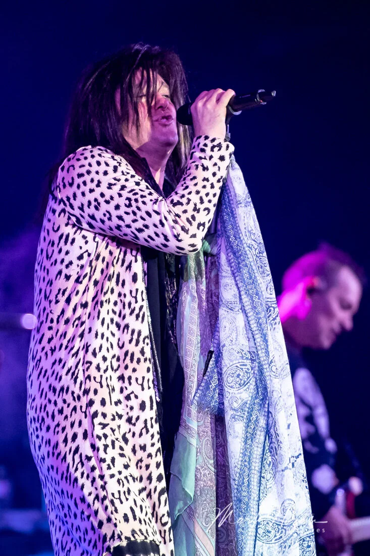 Hairball
