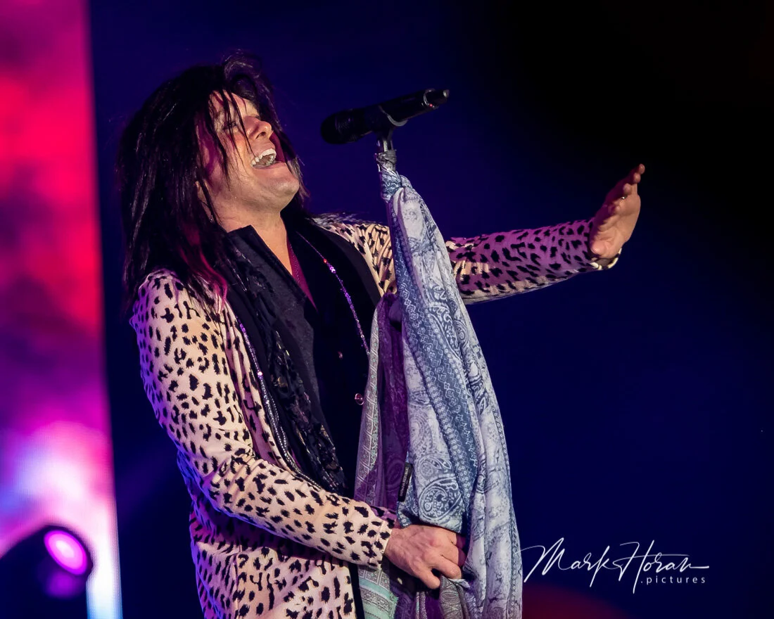 Hairball