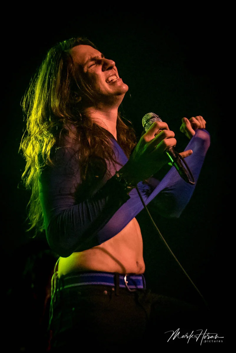 Joyous Wolf